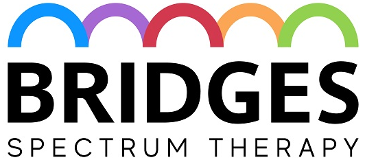 Bridges Company Logo